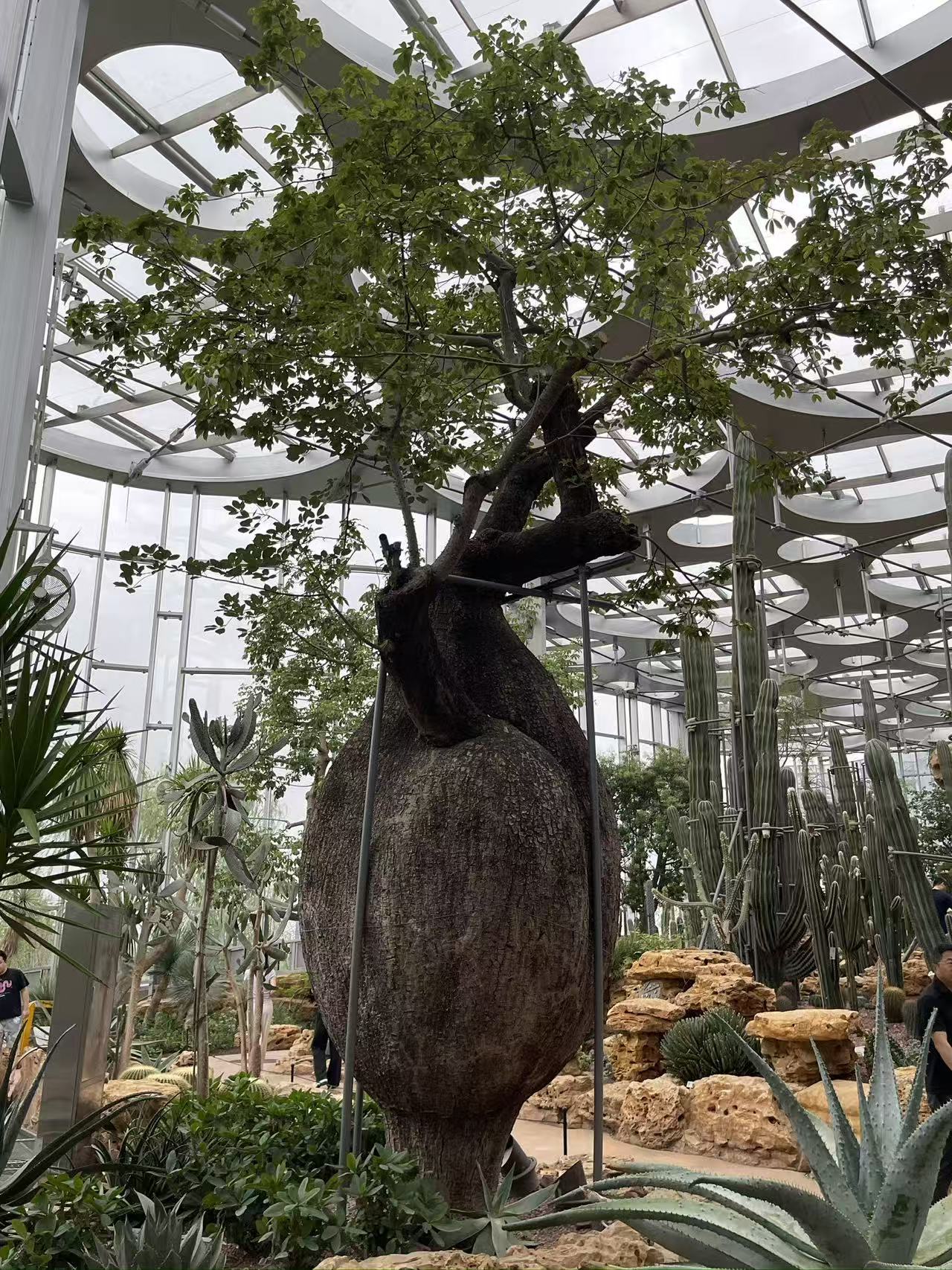 Weixin Image_20250922155312_1786_134.jpg