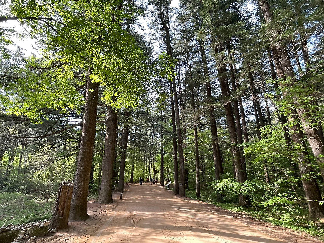 Weixin Image_20240506142545.jpg