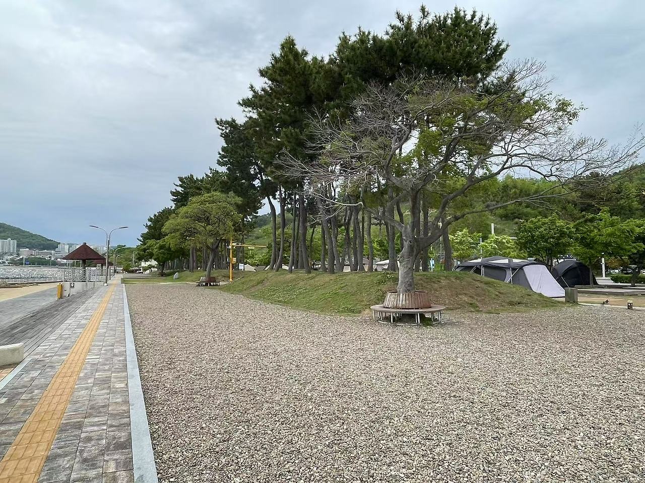 Weixin Image_20250507175130.jpg