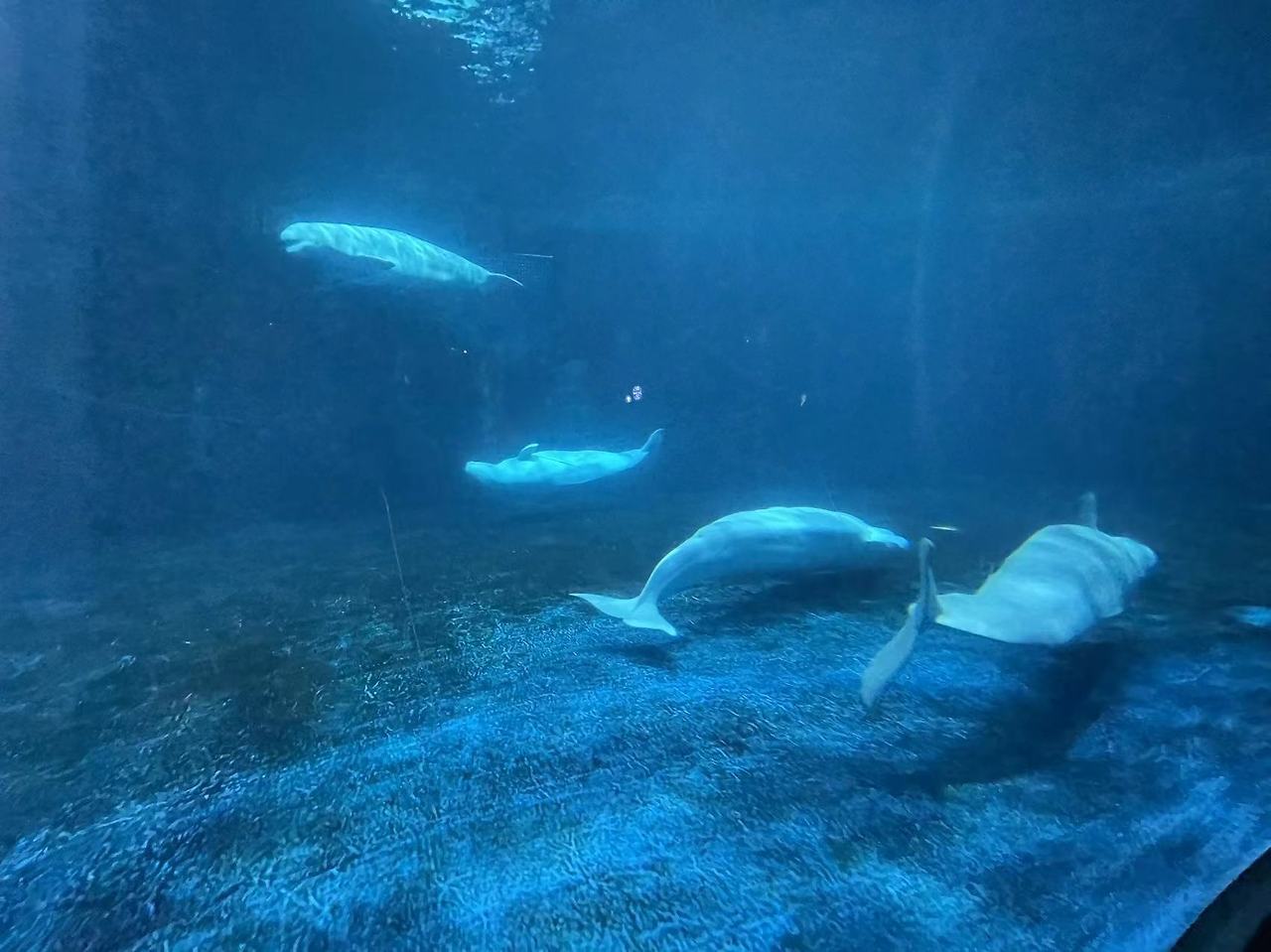 Weixin Image_20231211145822.jpg