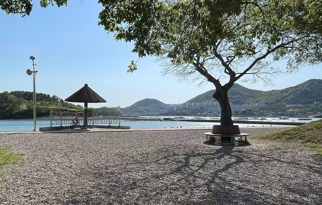 Weixin Image_20250507180144.jpg