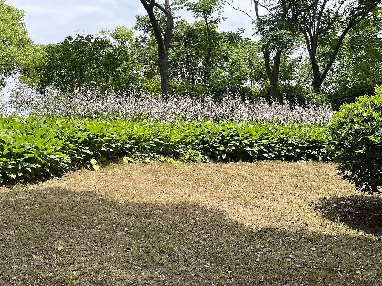 Weixin Image_20240611143803.jpg