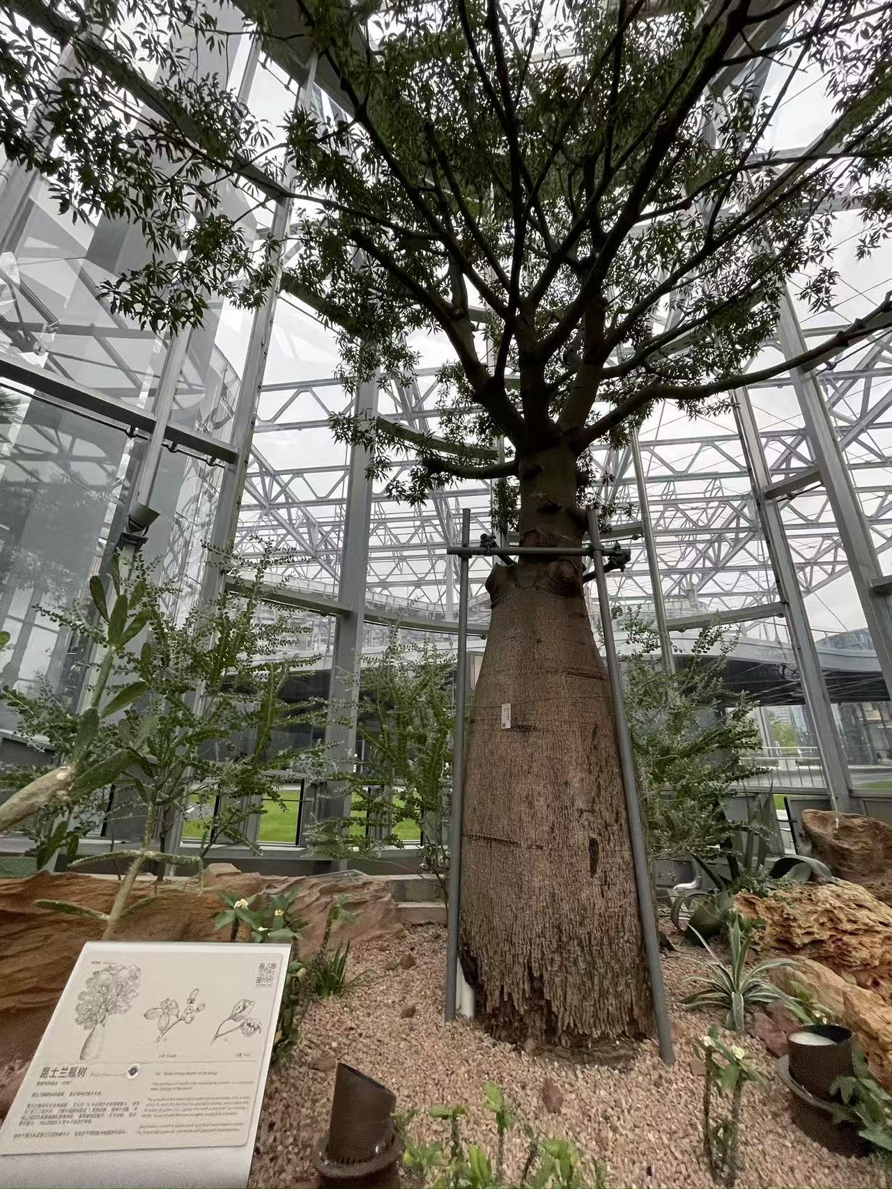 Weixin Image_20250922155303_1779_134.jpg