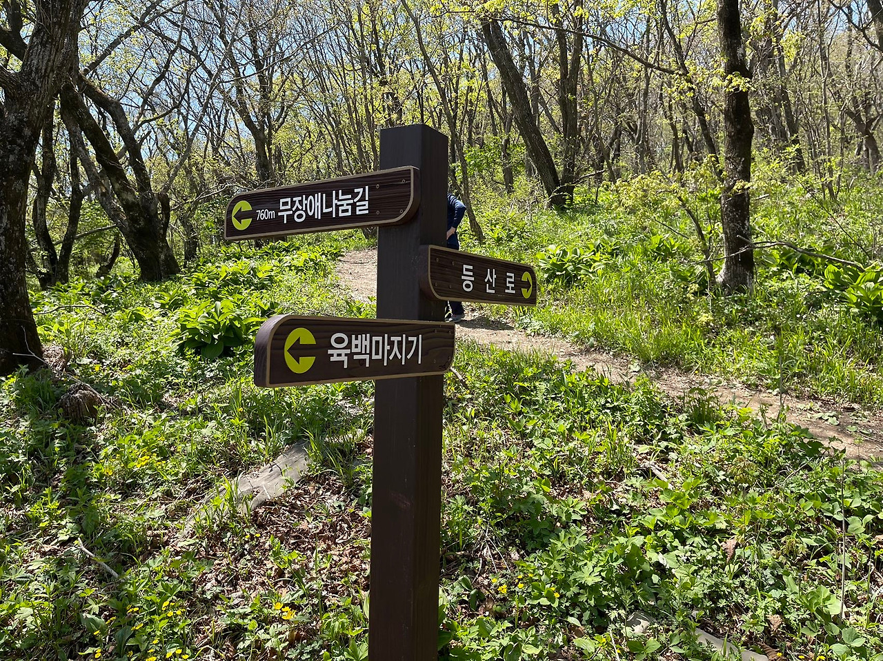 Weixin Image_20240506142914.jpg