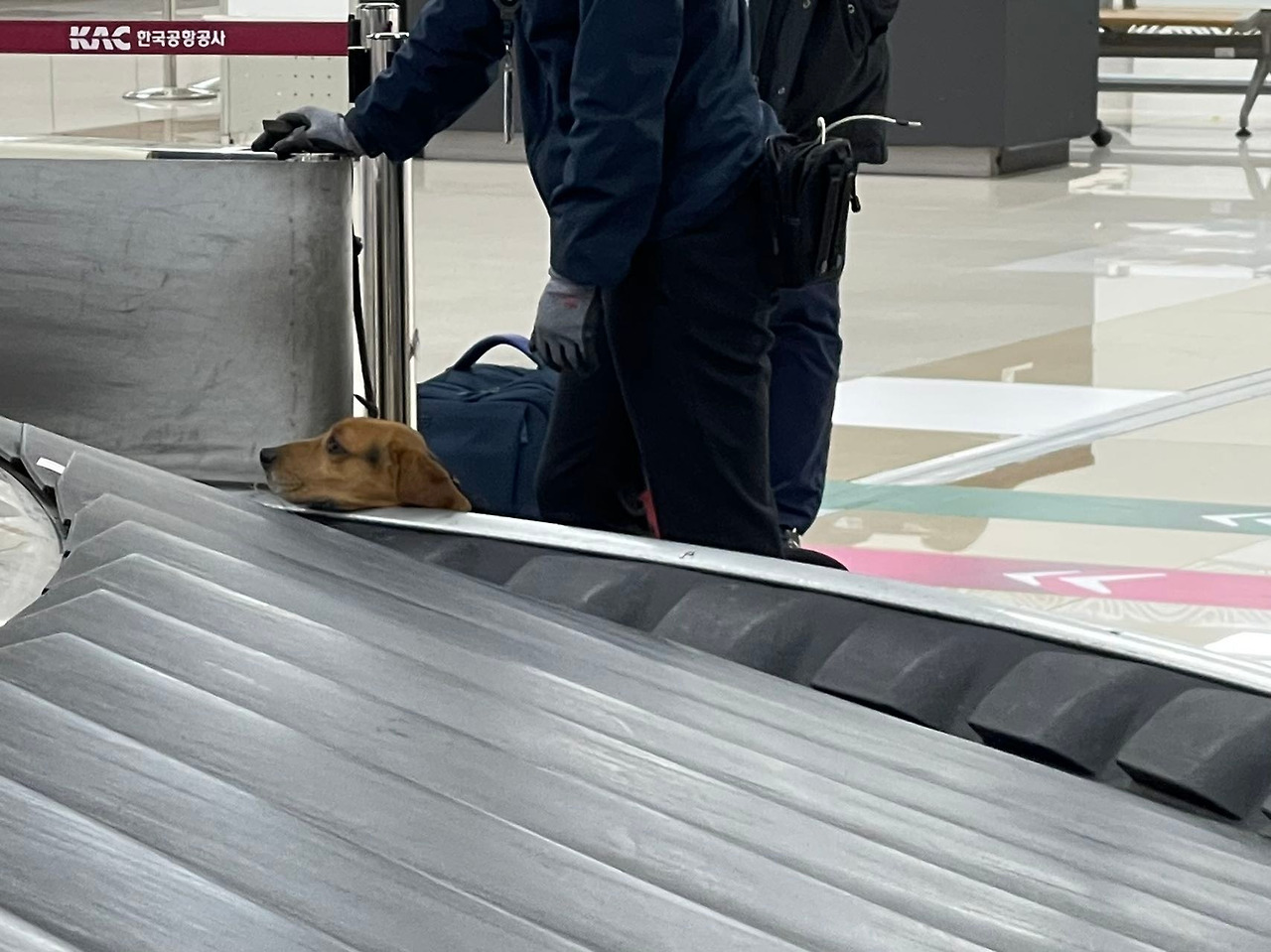 Weixin Image_20240115104221.jpg