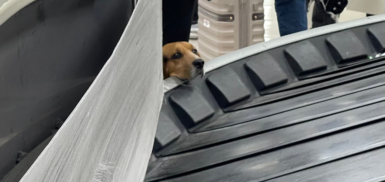 Weixin Image_20240115104228.jpg