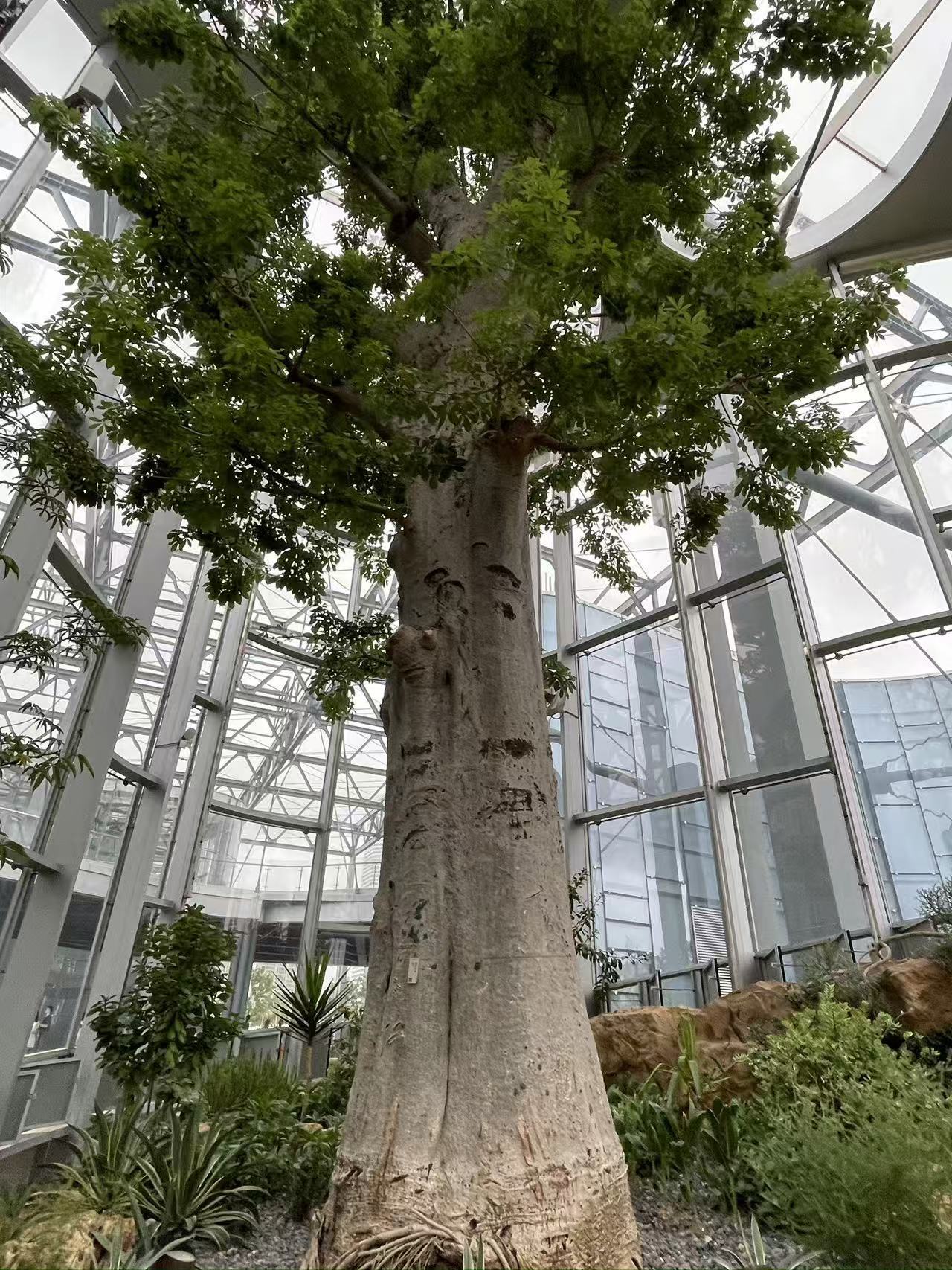 Weixin Image_20250922155310_1784_134.jpg