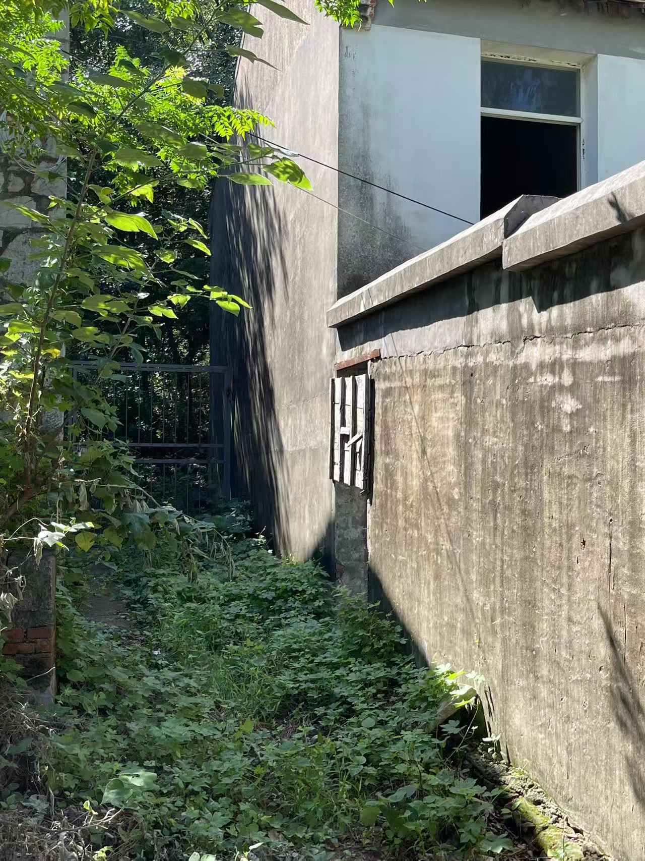 Weixin Image_2025-08-18_144930_722.jpg