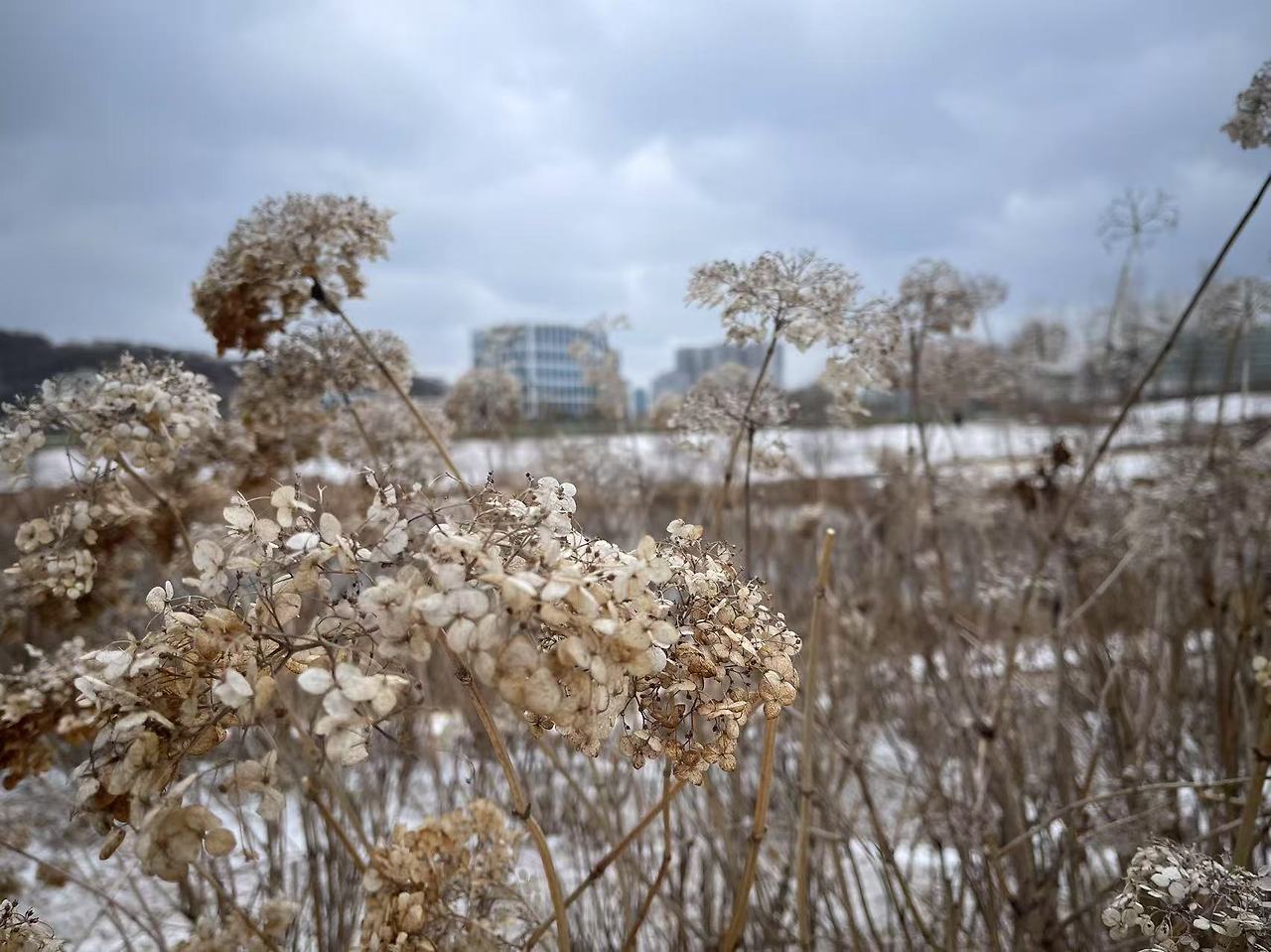 Weixin Image_20250205172046.jpg