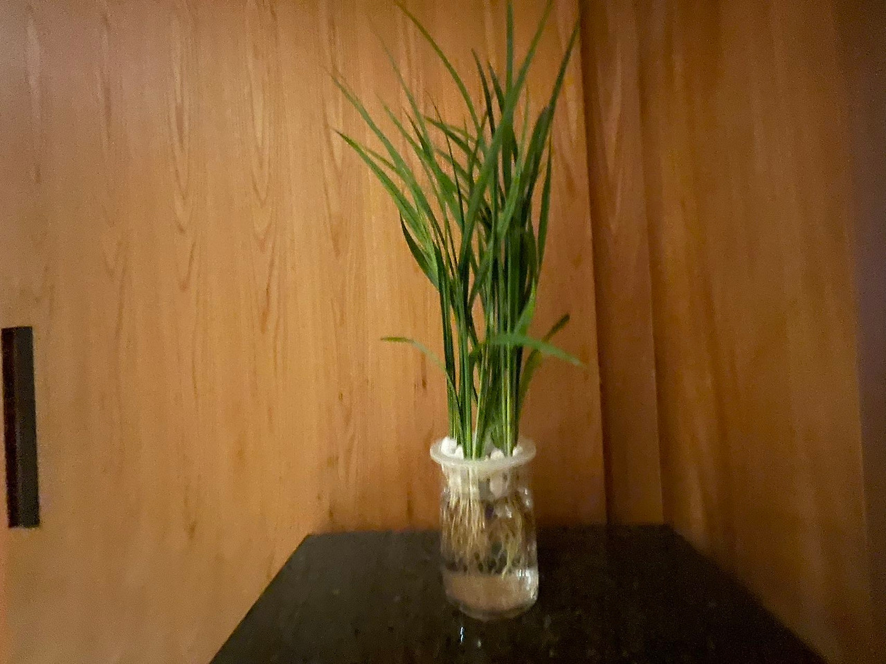 Weixin Image_20240326110715.jpg