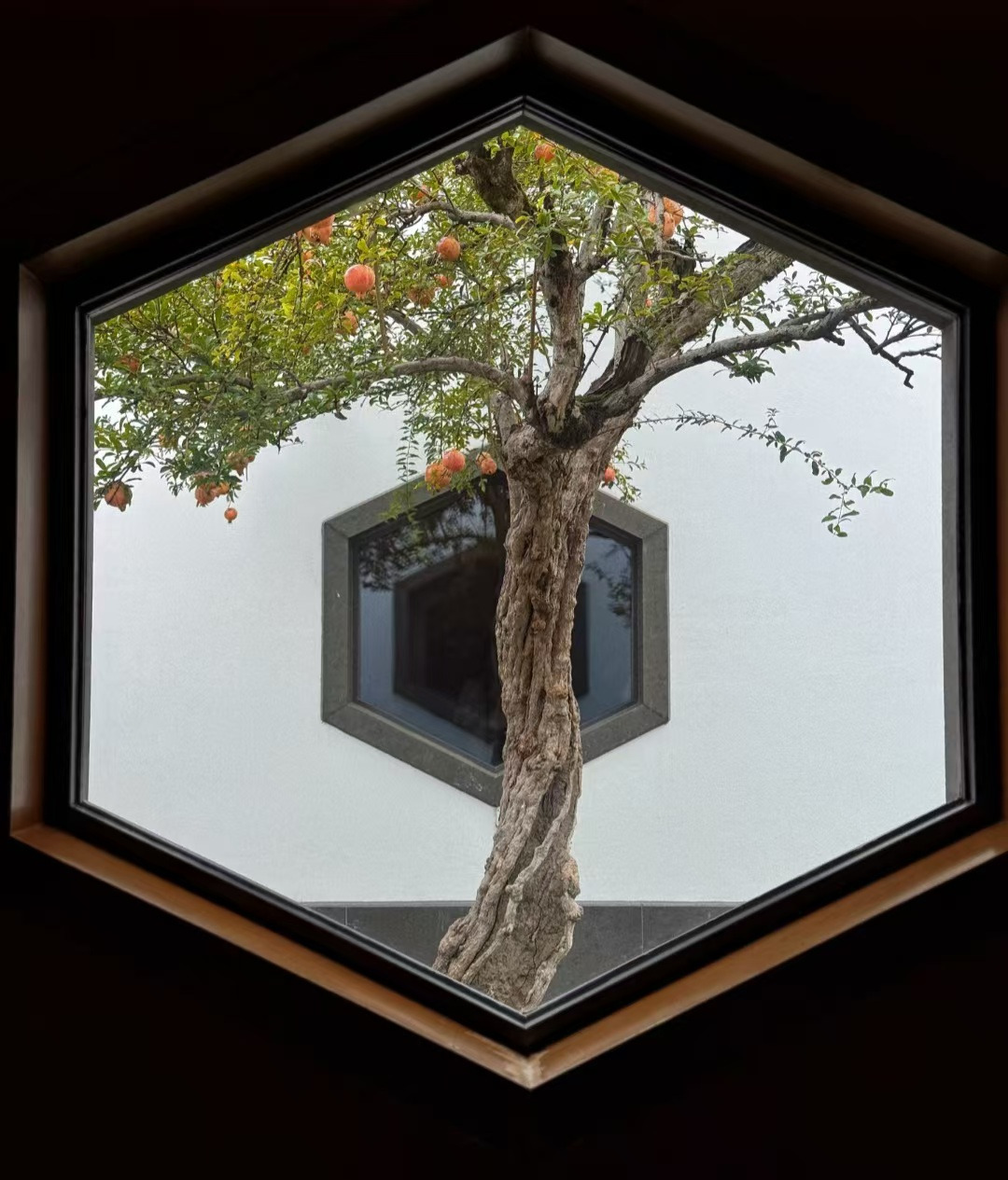 Weixin Image_20260104144029_859_36.jpg