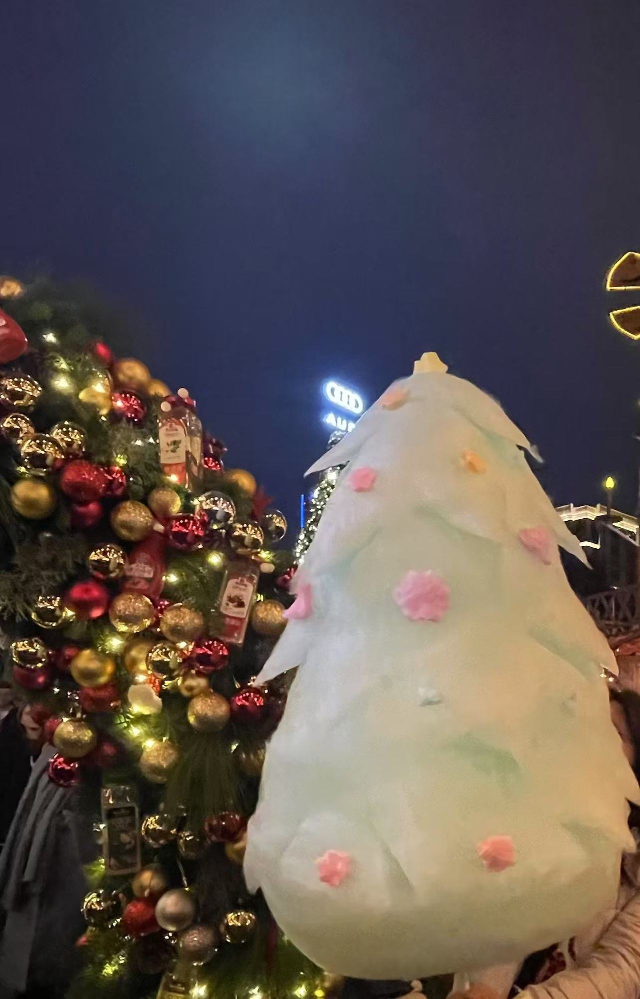 Weixin Image_20241217170450.jpg