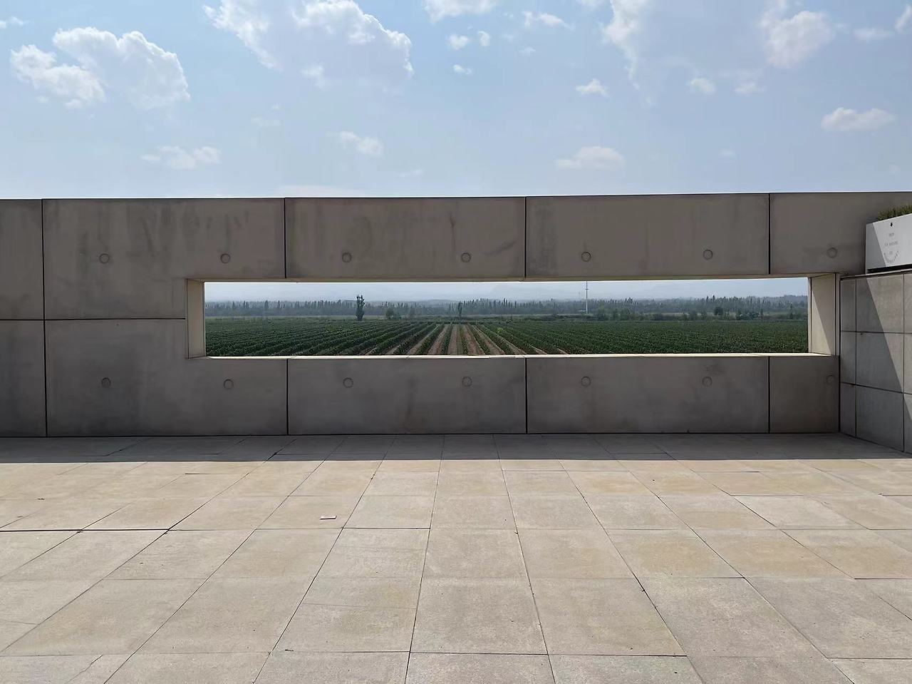 Weixin Image_20240804185734.jpg