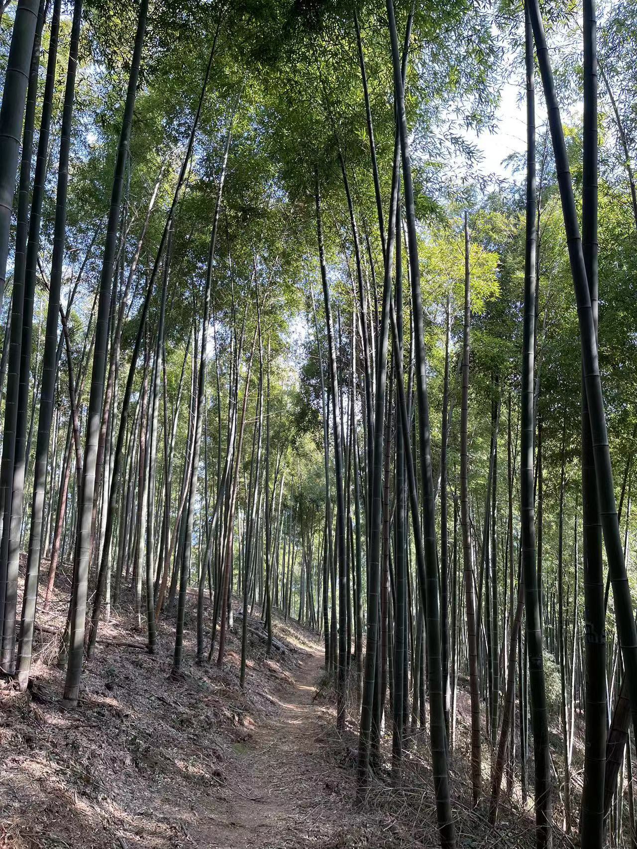 WeChat Image_20230423110105.jpg