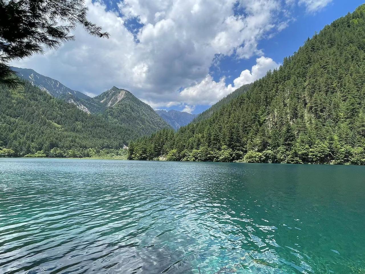 Weixin Image_20230824142005.jpg