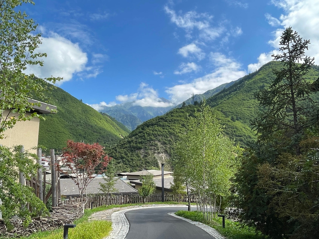 Weixin Image_20230809173043.jpg