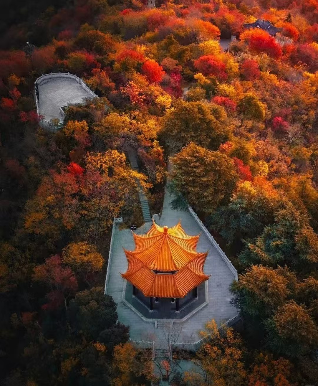 Weixin Image_20251119151352_3309_134.jpg