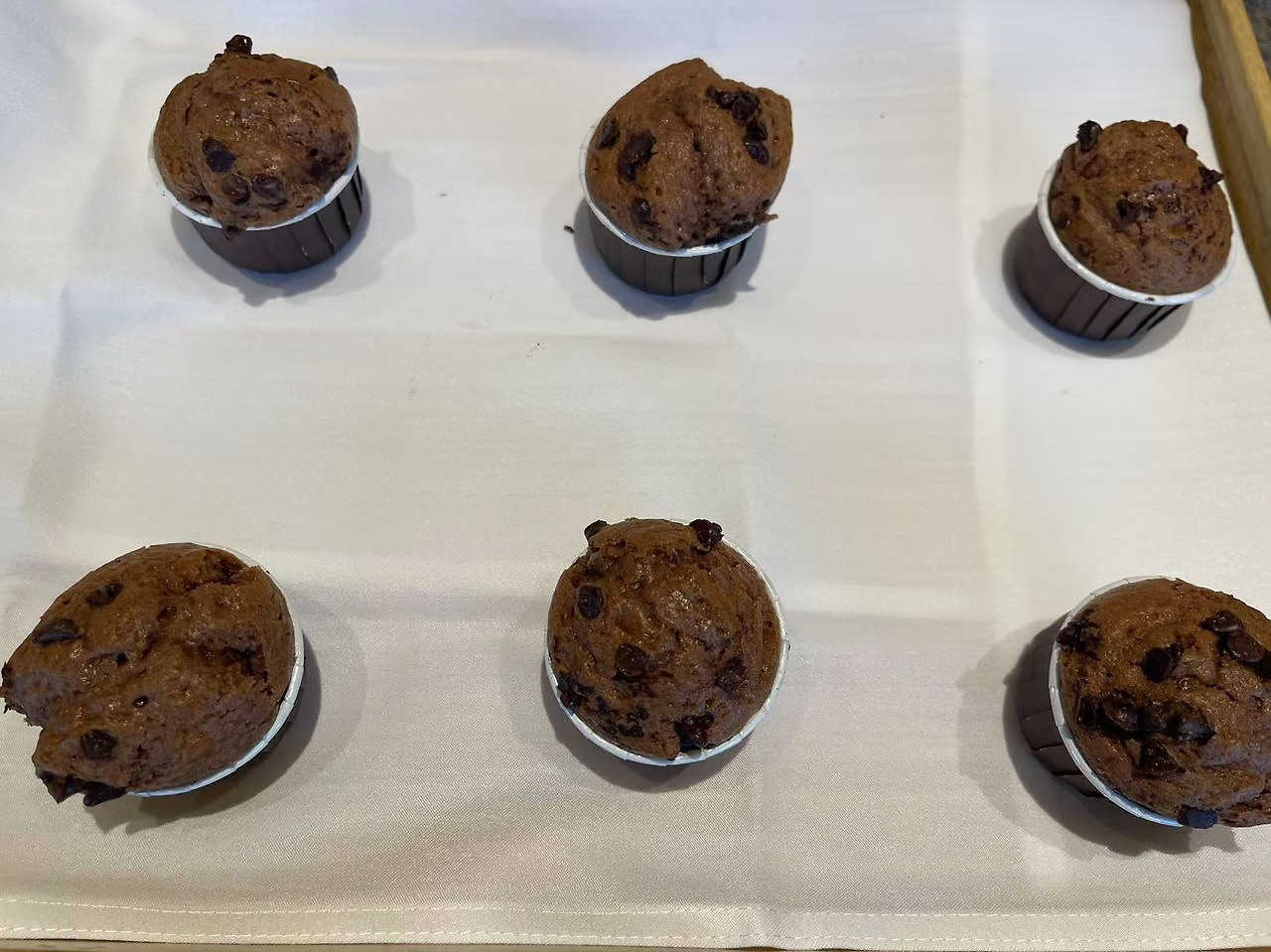 Weixin Image_20250224135204.jpg