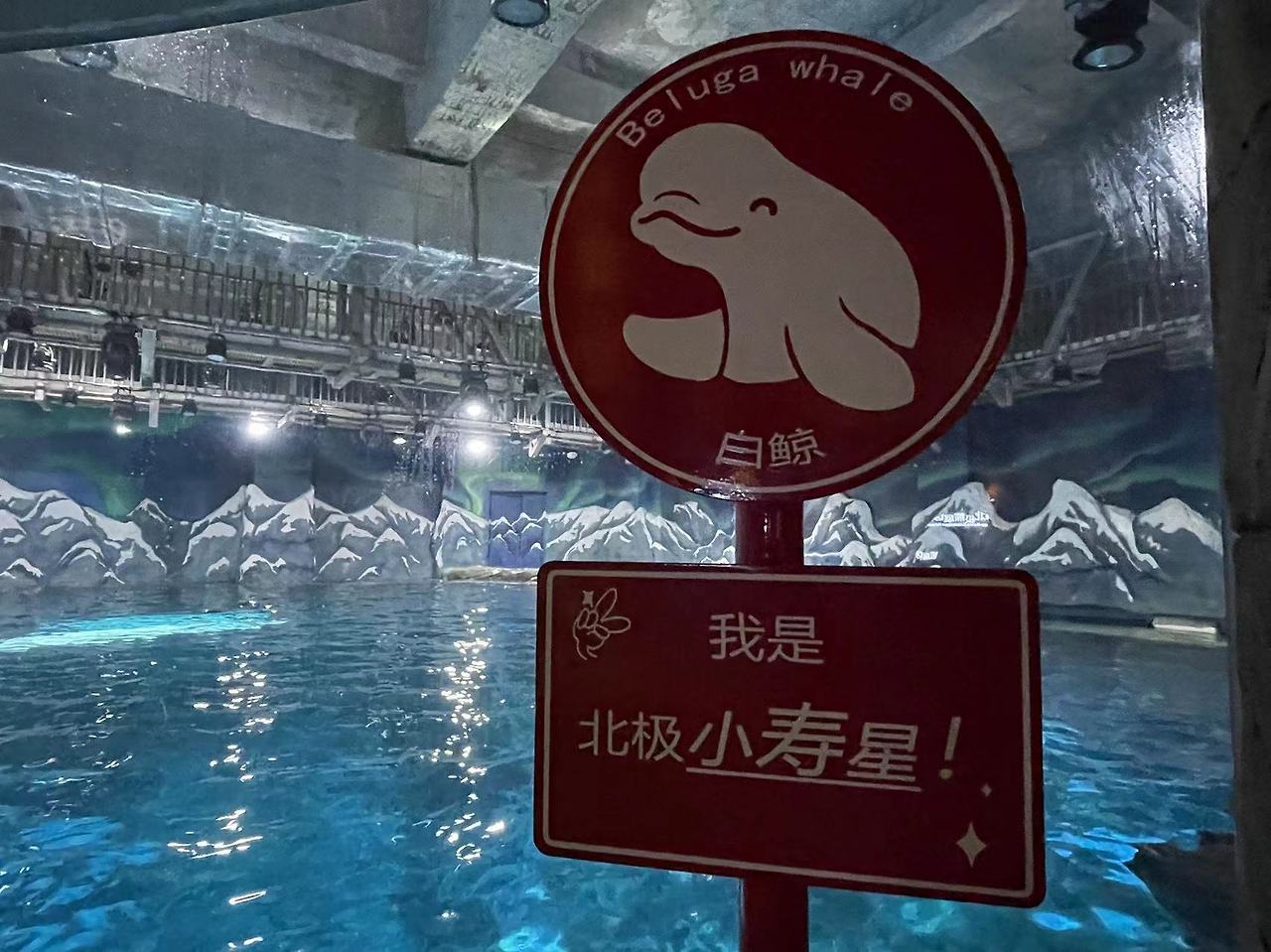 Weixin Image_20231211145907.jpg