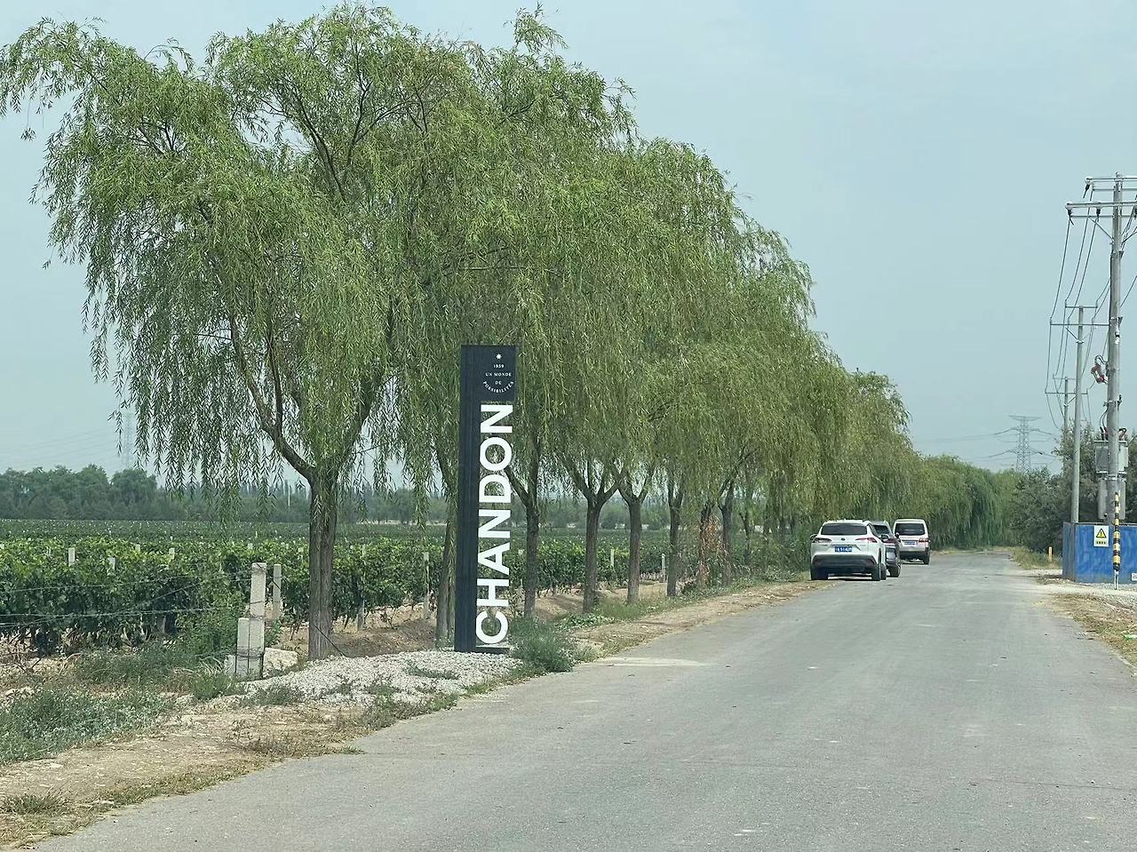 Weixin Image_20240804185124.jpg