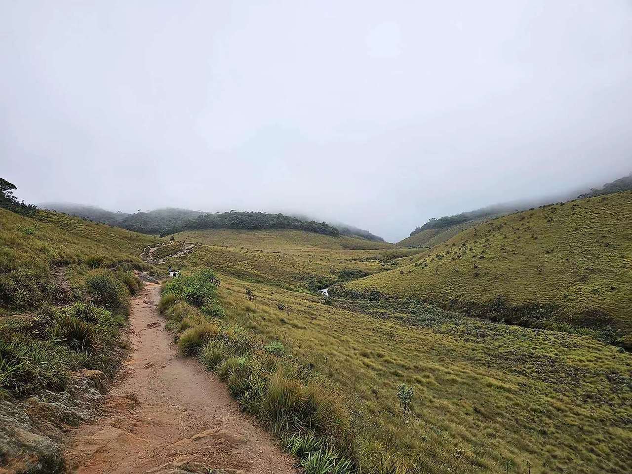 Weixin Image_20231026174154.jpg