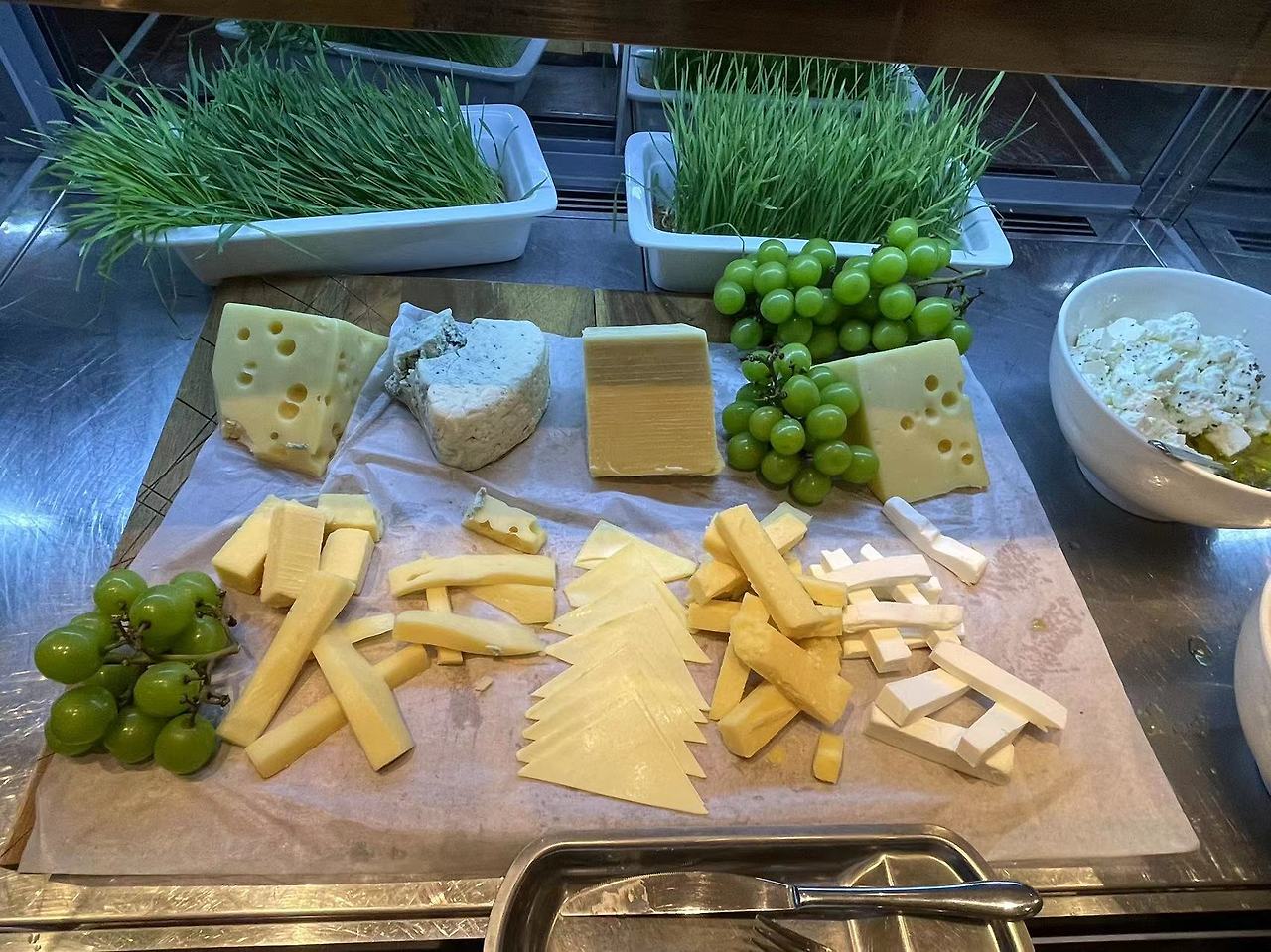 Weixin Image_20230710140447.jpg