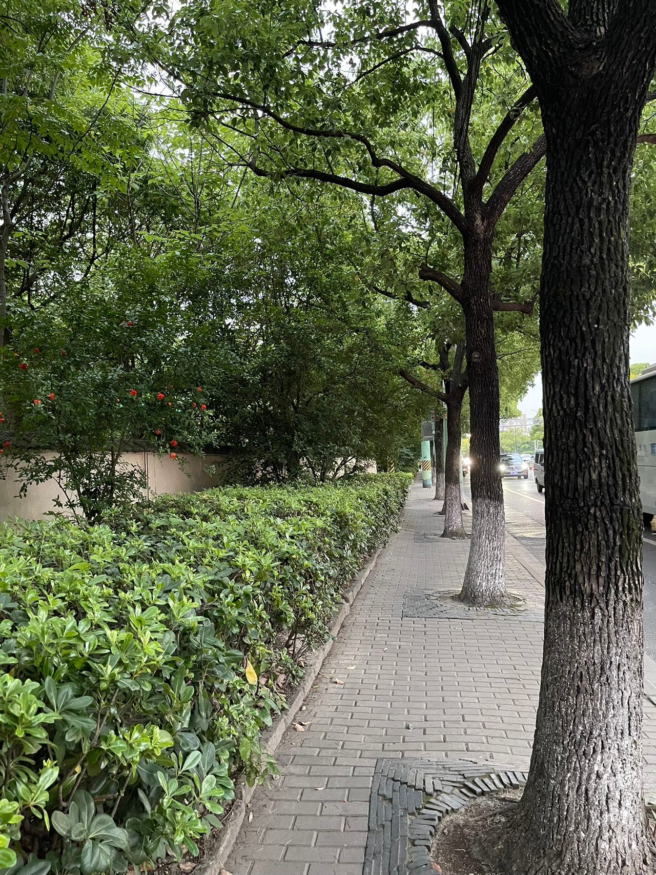 Weixin Image_20230601104058.jpg