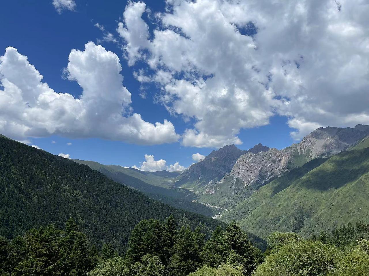 Weixin Image_20230828110704.jpg