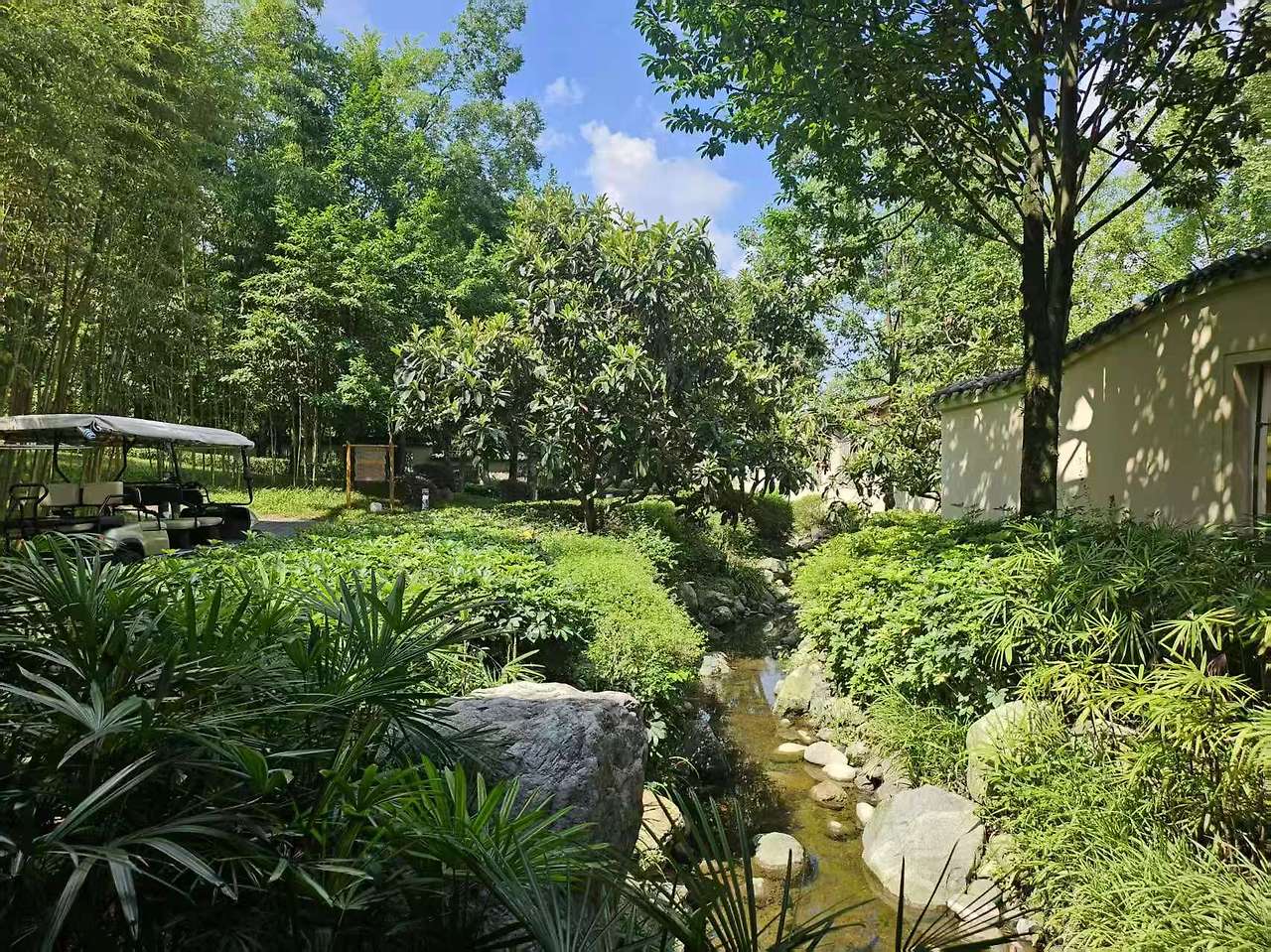 Weixin Image_2025-08-01_165258_559.jpg