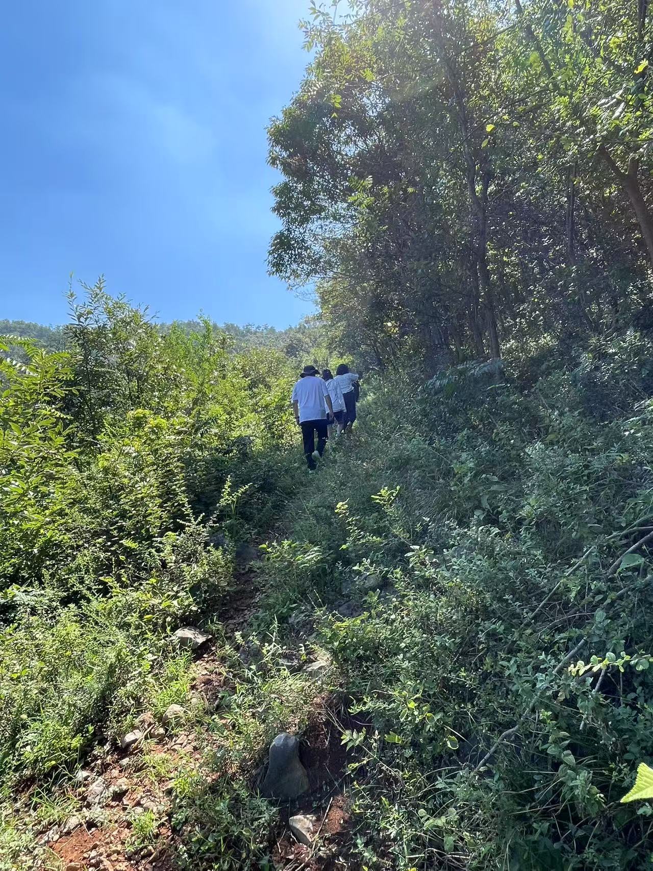 Weixin Image_2025-08-18_145331_615.jpg