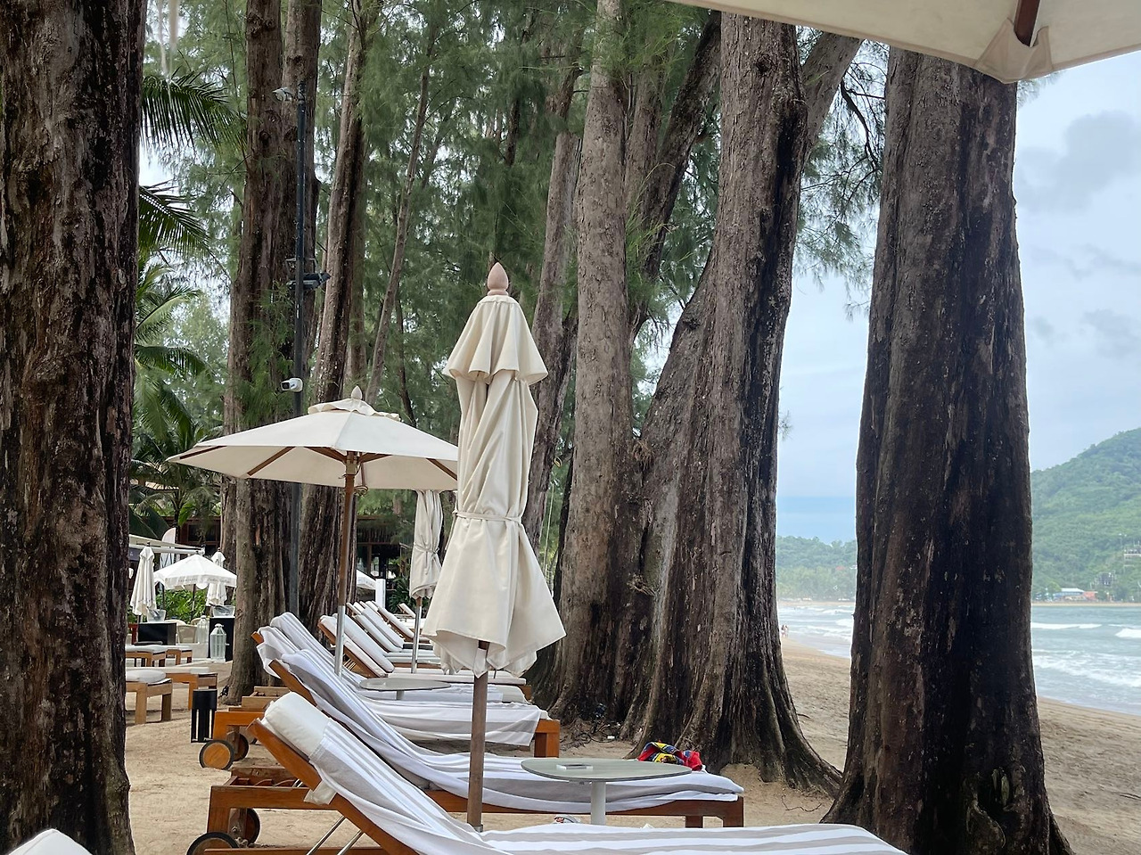 Weixin Image_20240718142510.jpg