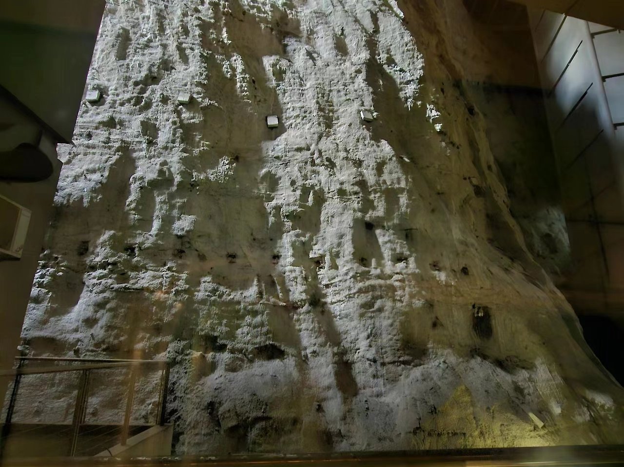 Weixin Image_20240611155727.jpg