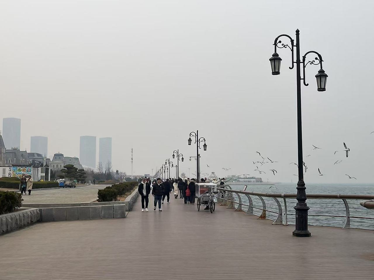 Weixin Image_20250207152858.jpg