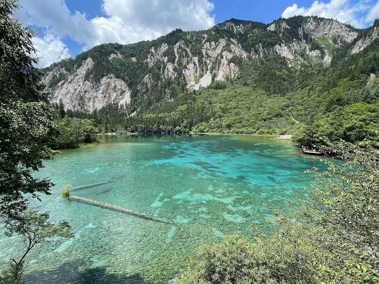 Weixin Image_20230803081217.jpg