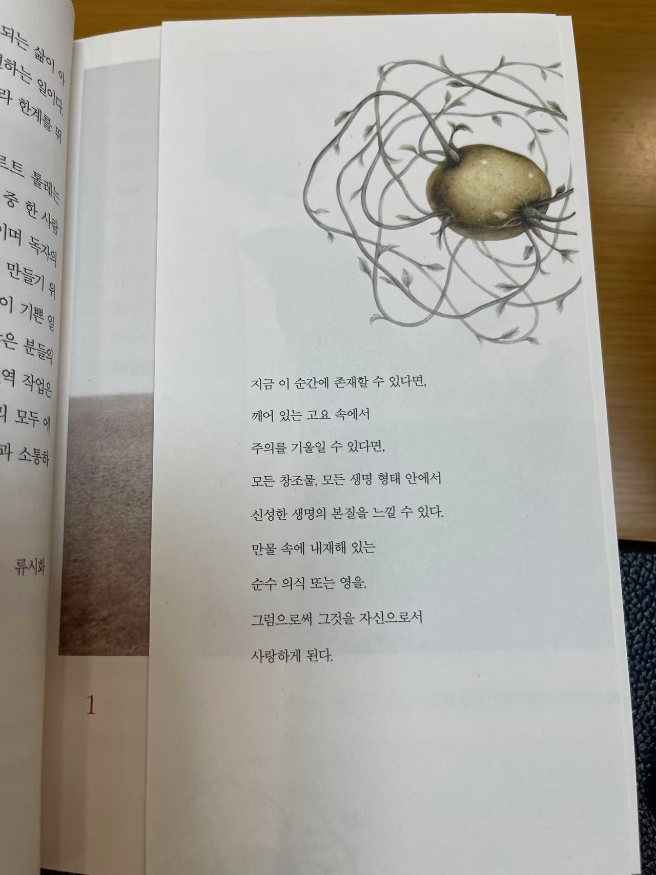 Weixin Image_20250606151858.jpg