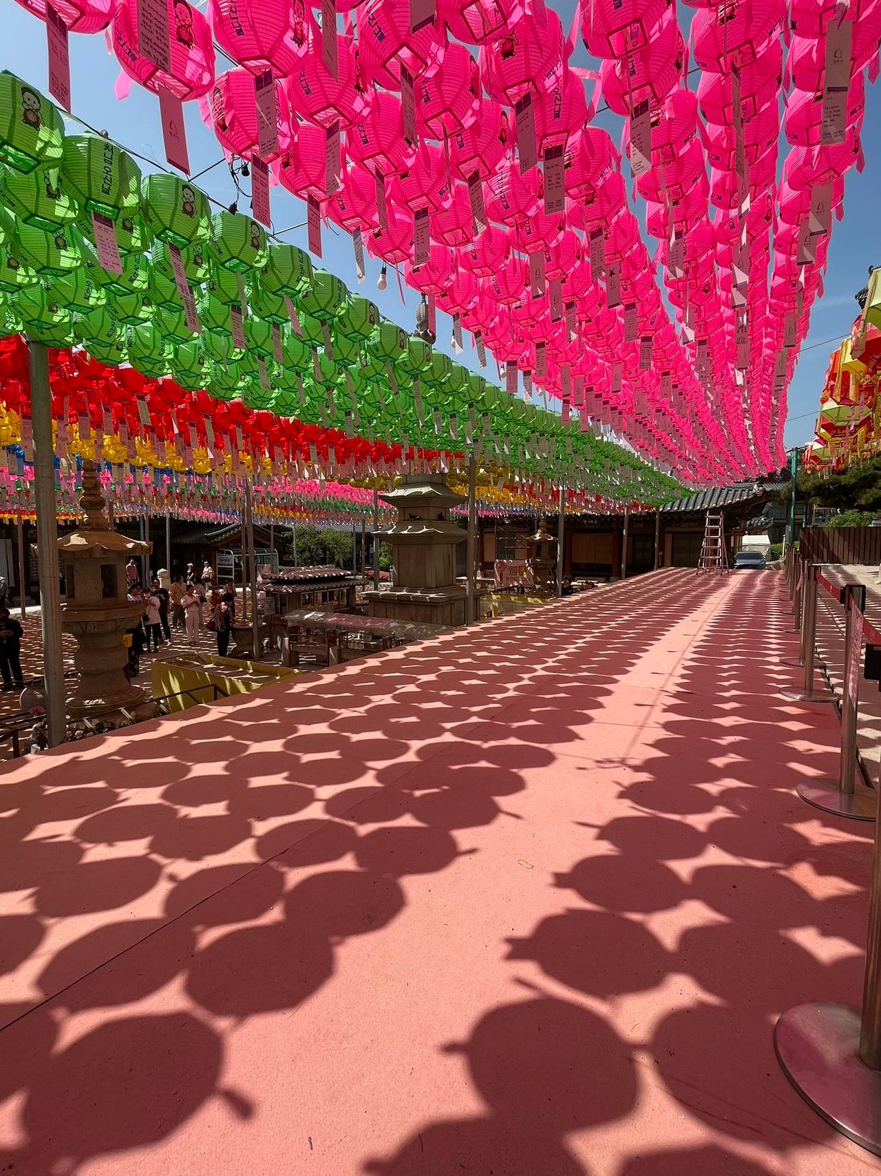 Weixin Image_20240506144022.jpg