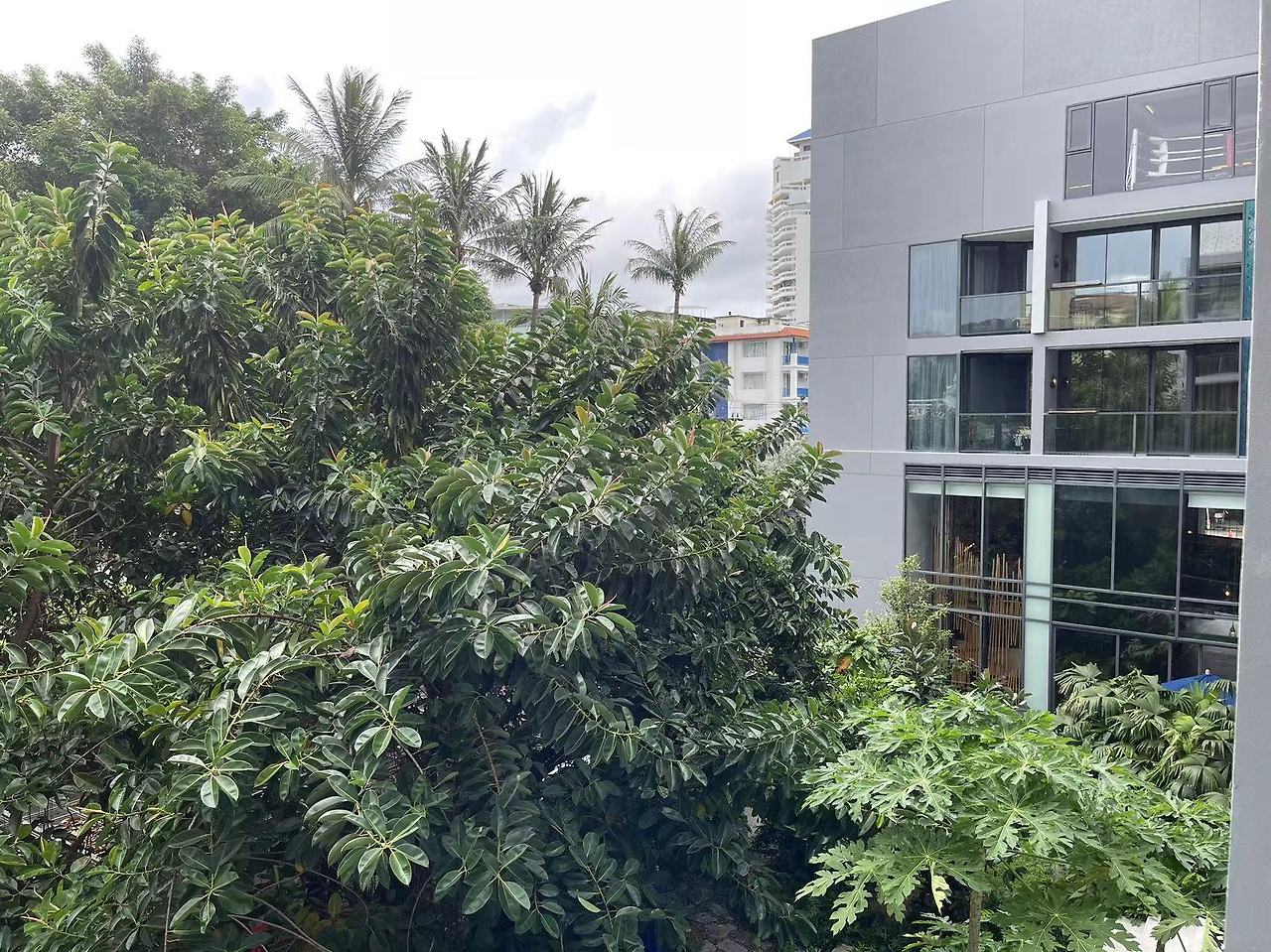 Weixin Image_20240718152249.jpg