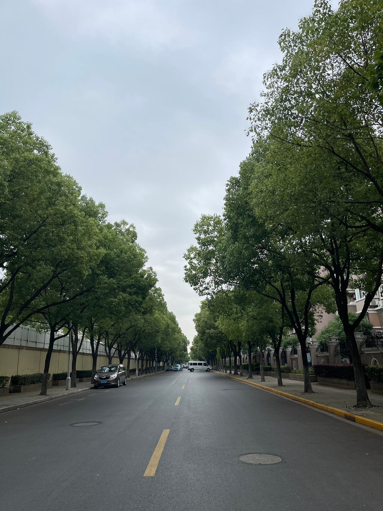 Weixin Image_20230601104133.jpg