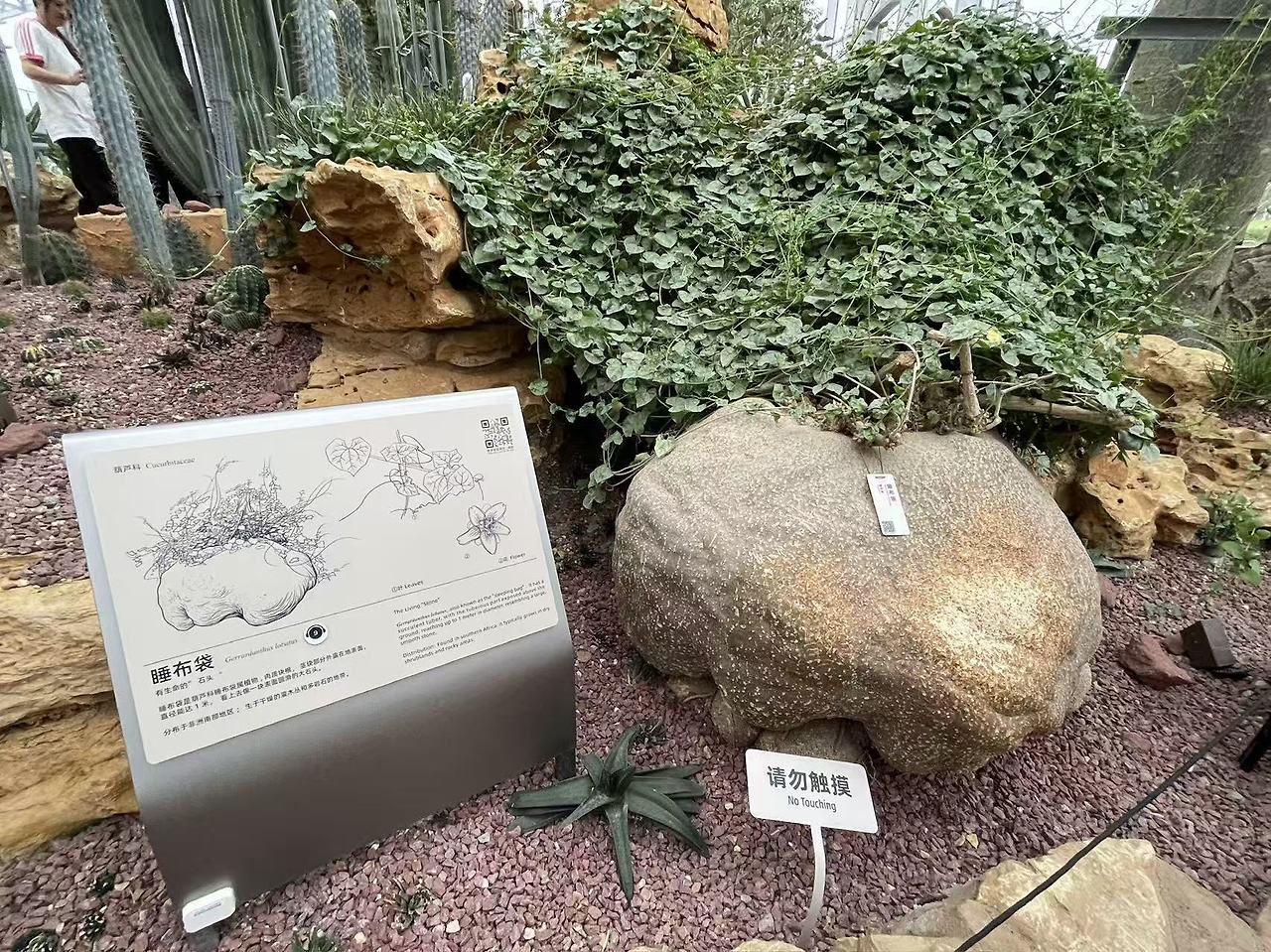 Weixin Image_20250922155316_1789_134.jpg