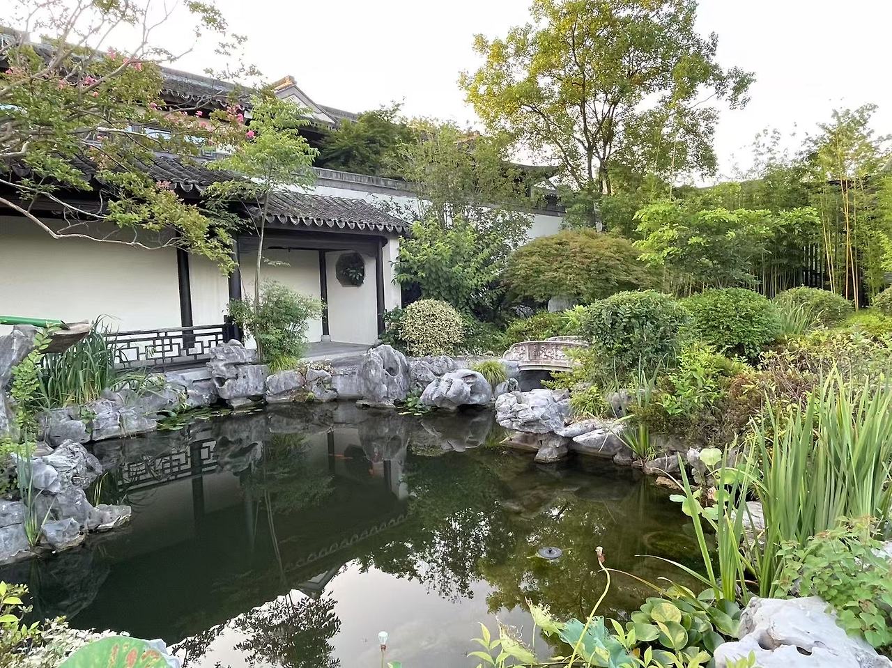 Weixin Image_2025-07-07_183306_265.jpg