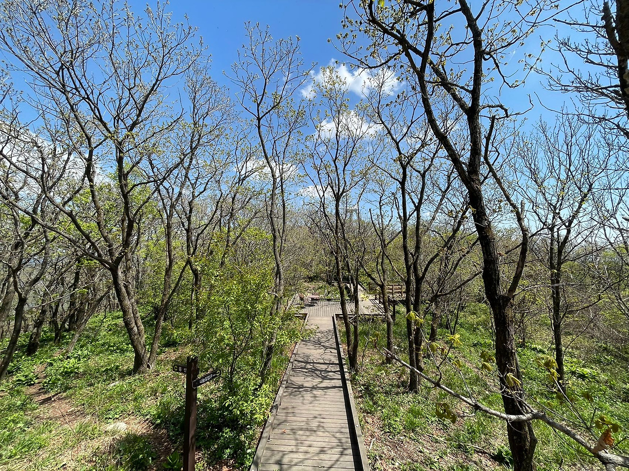 Weixin Image_20240506142922.jpg