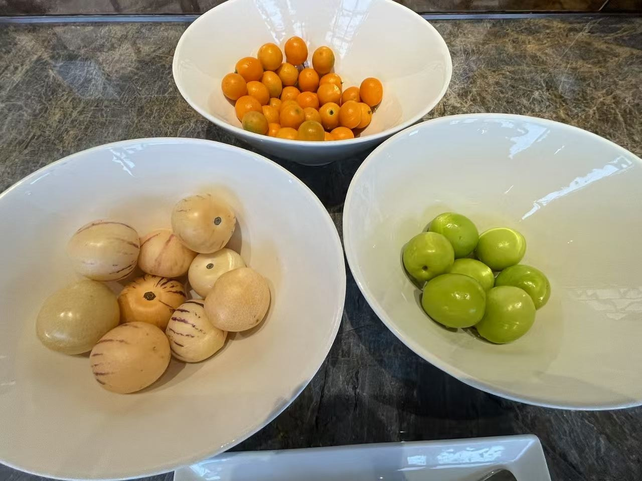 Weixin Image_20250224135210.jpg