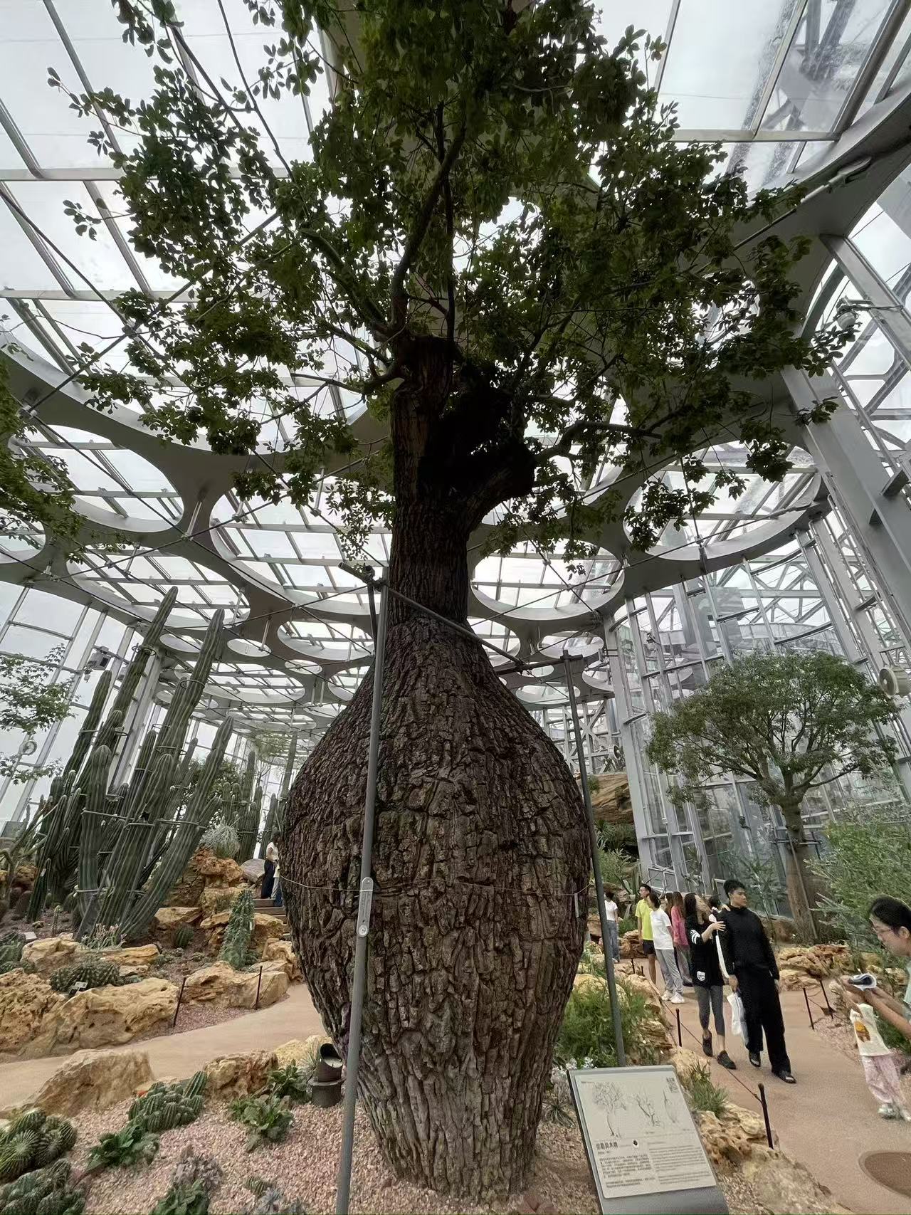 Weixin Image_20250922155307_1782_134.jpg