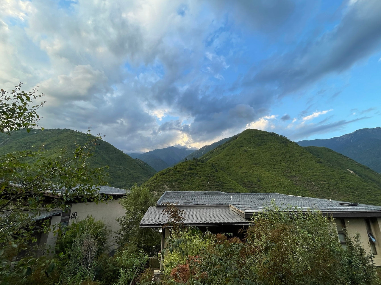 Weixin Image_20230809173548.jpg