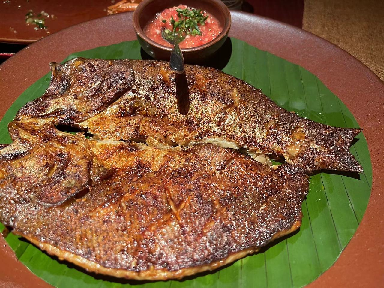 Weixin Image_20240227120428.jpg