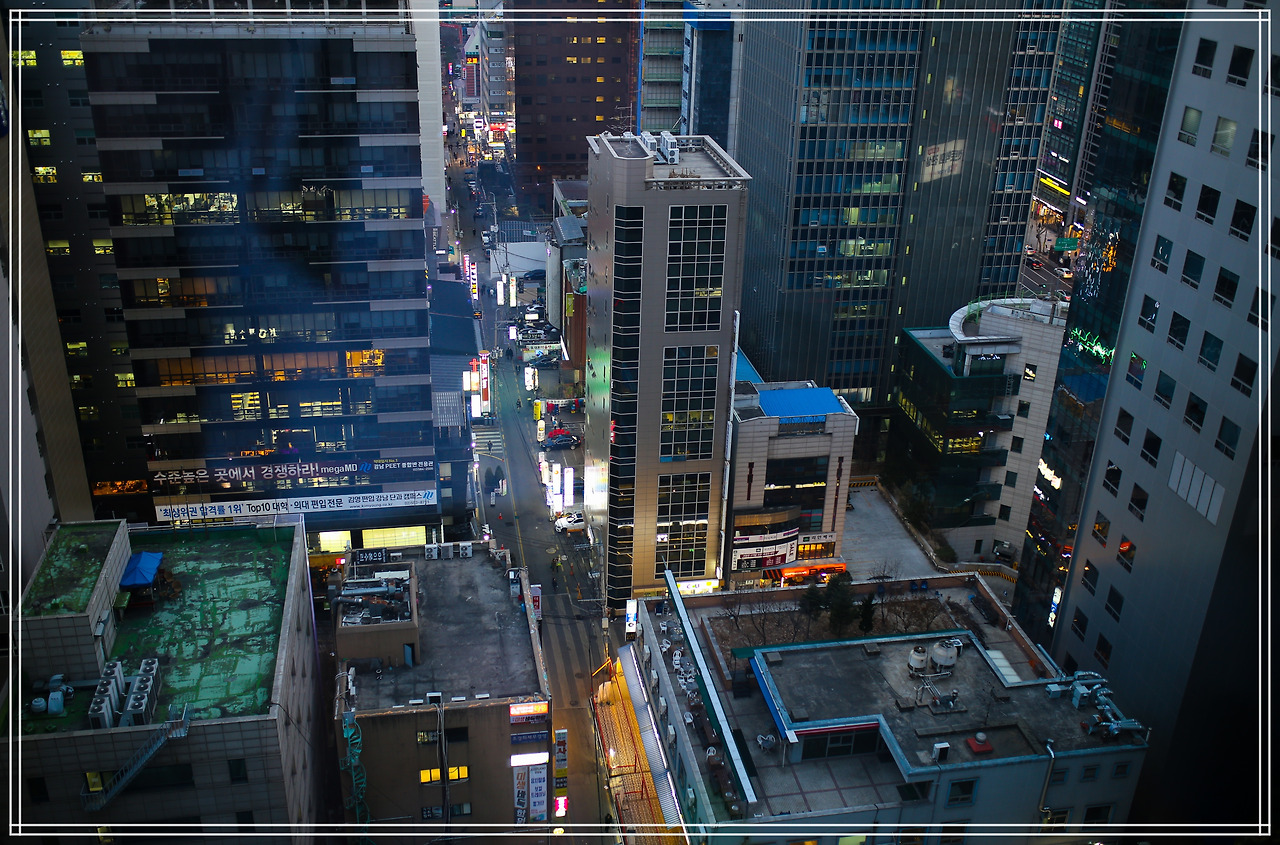 트위터 대량 해고 4.jpg