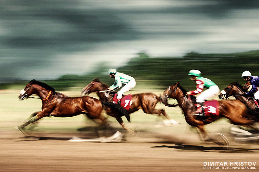 gamble-horses-race-horses-galloping_by_54ka.jpg