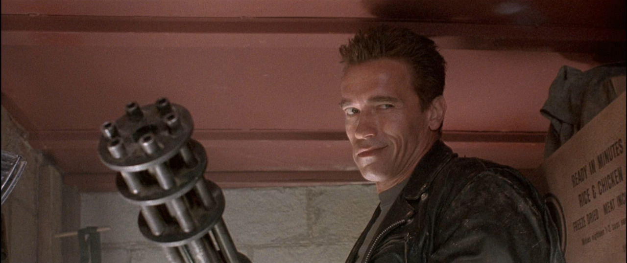 terminator2bacapcropped5_original.jpg