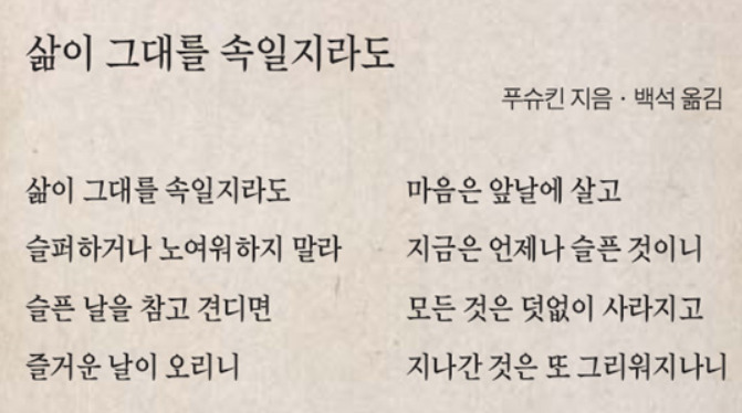 바카라 드래곤 판다