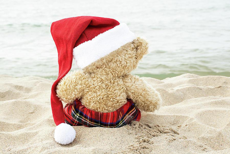lonely-christmas-bear-maria-dryfhout.jpg